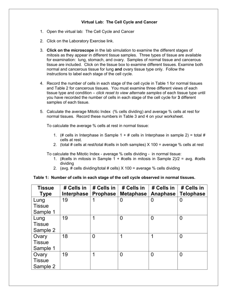 07 Cell Cycle Virtual Lab Handout Solutions