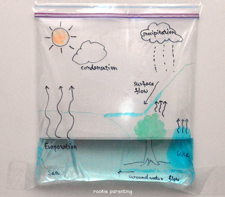 10 Amazing Water Cycle Activities And Extra Resources The Discovery Apple