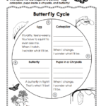 10 Ready to Go Resources For Teaching Life Cycles Scholastic