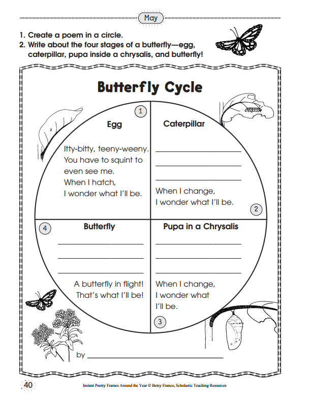 10 Ready to Go Resources For Teaching Life Cycles Scholastic