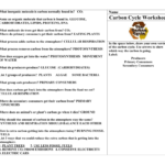 29 Carbon Oxygen Cycle Worksheet Free Worksheet Spreadsheet