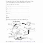 30 Bill Nye Water Cycle Worksheet Education Template