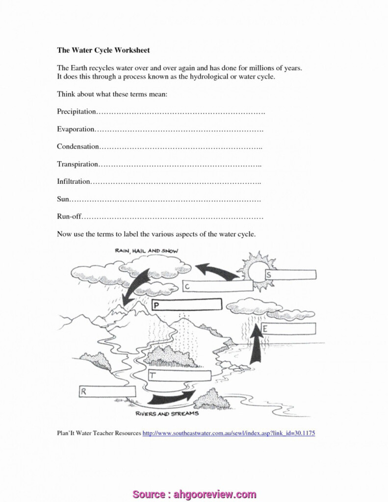 30 Bill Nye Water Cycle Worksheet Education Template