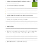 30 Biogeochemical Cycles Worksheet Answers Education Template