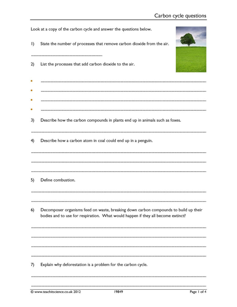 30 Biogeochemical Cycles Worksheet Answers Education Template