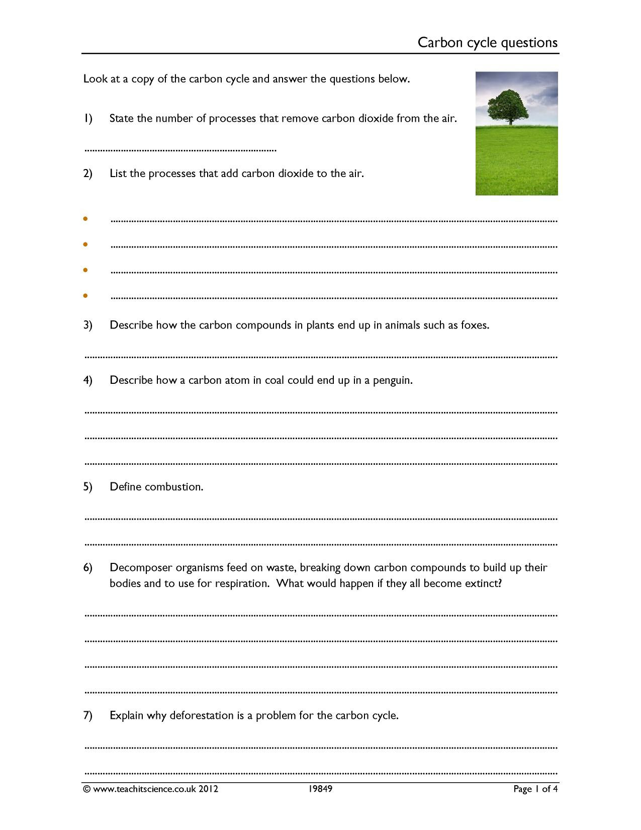 30 Biogeochemical Cycles Worksheet Answers Education Template