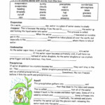 30 Biogeochemical Cycles Worksheet Answers Education Template