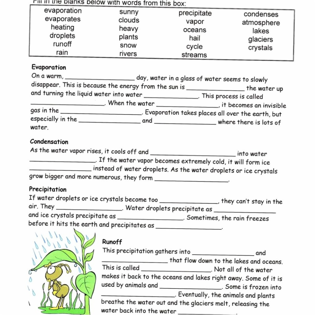 30 Biogeochemical Cycles Worksheet Answers Education Template