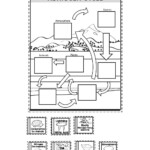 30 Nitrogen Cycle Worksheet Answers Support Worksheet