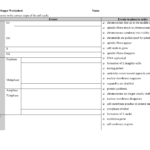 32 The Cell Cycle Worksheet Answers