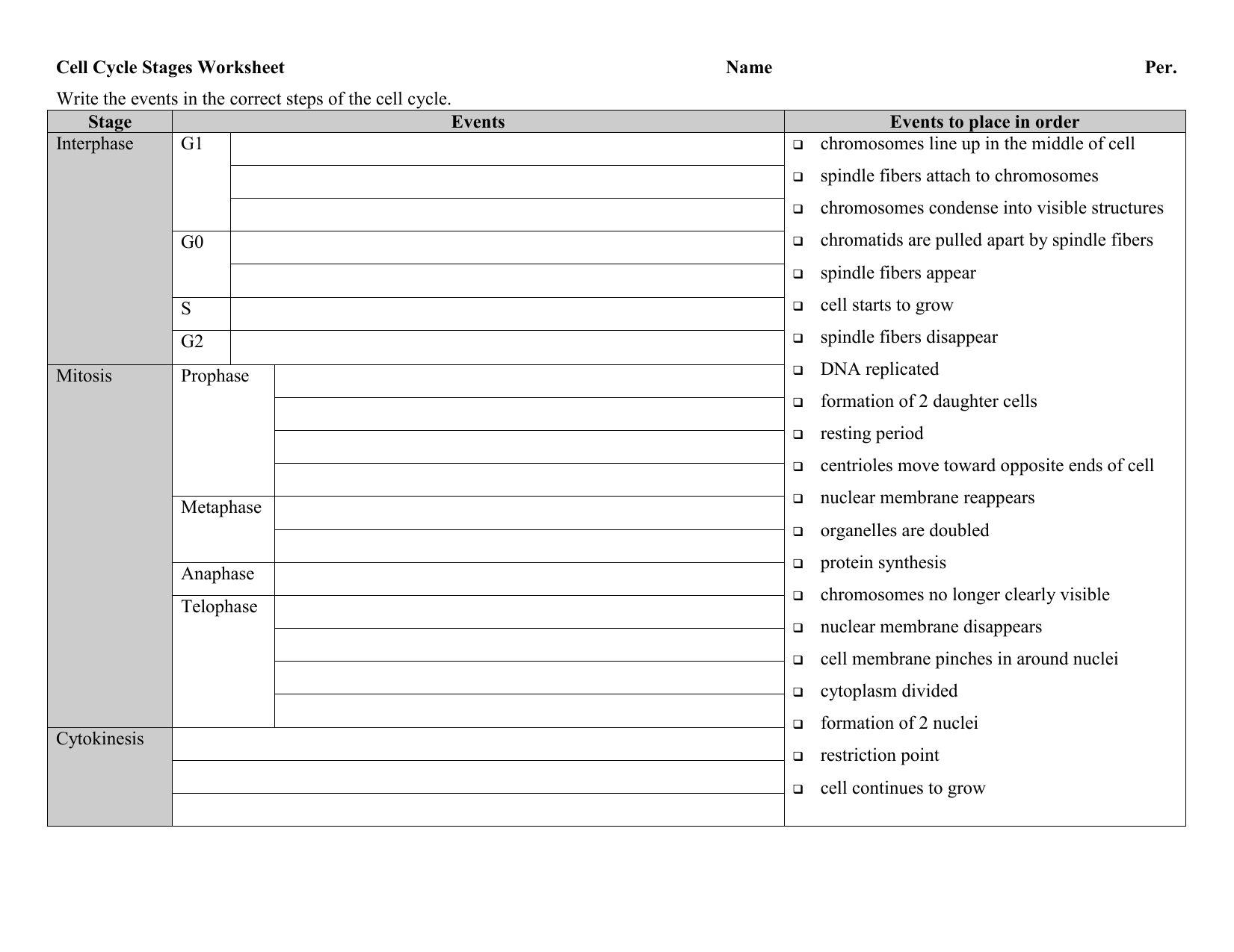 32 The Cell Cycle Worksheet Answers