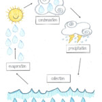 33 Simple Water Cycle Worksheet Design Http ygdravil info 33 simple