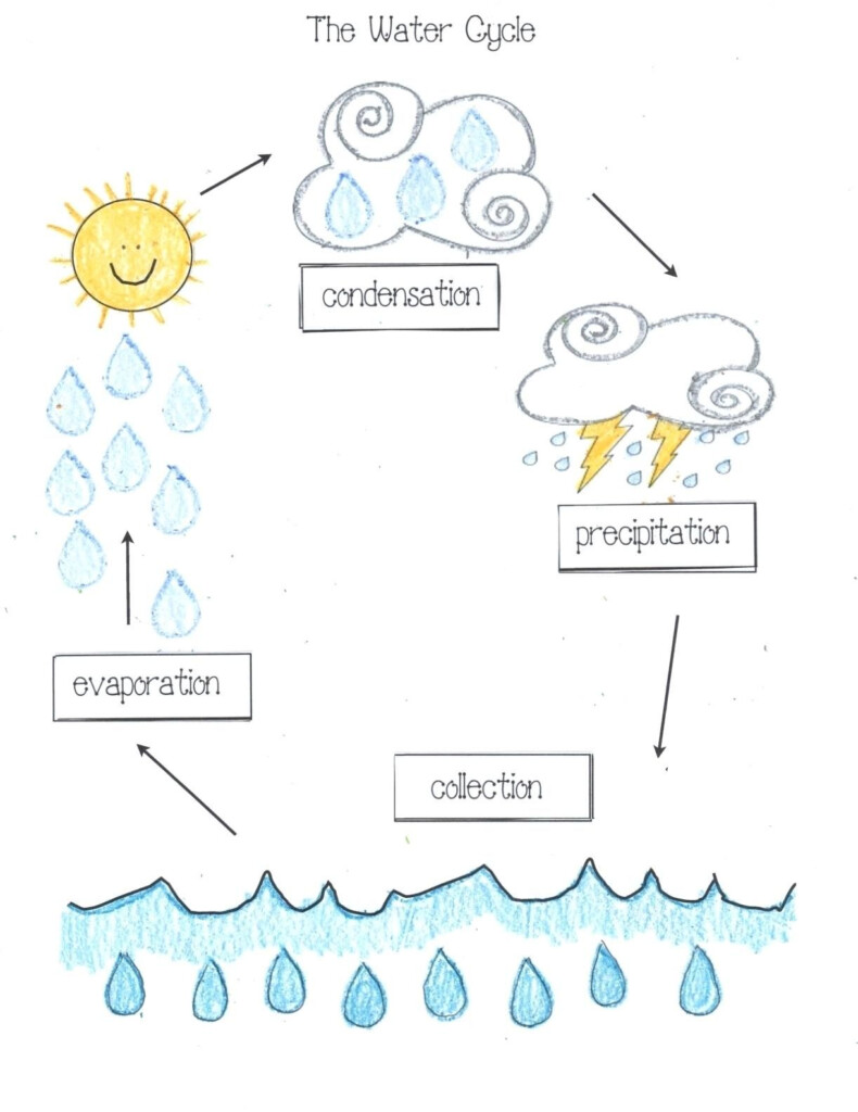 33 Simple Water Cycle Worksheet Design Http ygdravil info 33 simple 