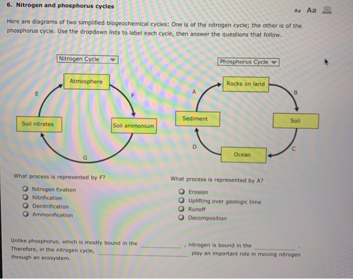 34 Label The Diagram Of The Phosphorus Cycle Labels Database 2020