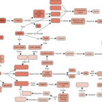 35 Rock Cycle Diagram To Label Labels Database 2020