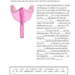 35 The Menstrual Cycle Worksheet Support Worksheet