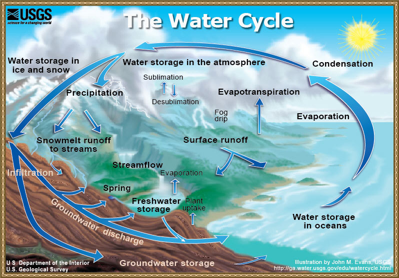 4th Grade Science Lesson