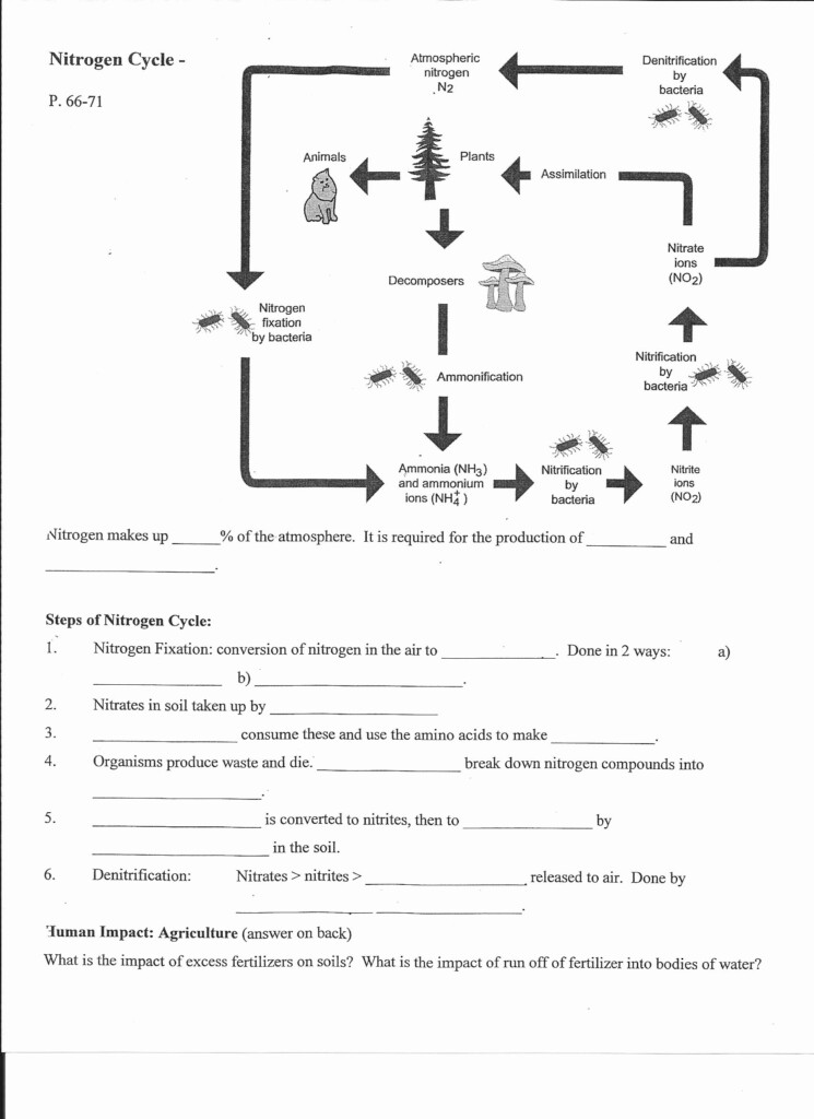 50 The Carbon Cycle Worksheet Answers Chessmuseum Template Library