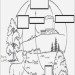 50 The Carbon Cycle Worksheet Answers Chessmuseum Template Library