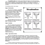 64 Medical Worksheet Templates Free To Download In PDF