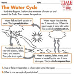 7 6Th Grade Water Cycle Worksheet