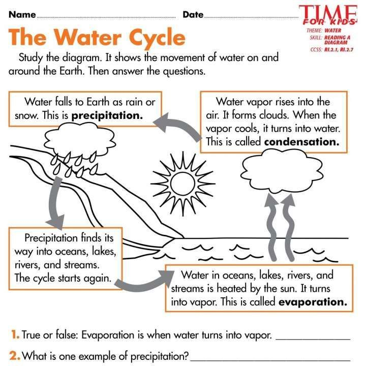 7 6Th Grade Water Cycle Worksheet 