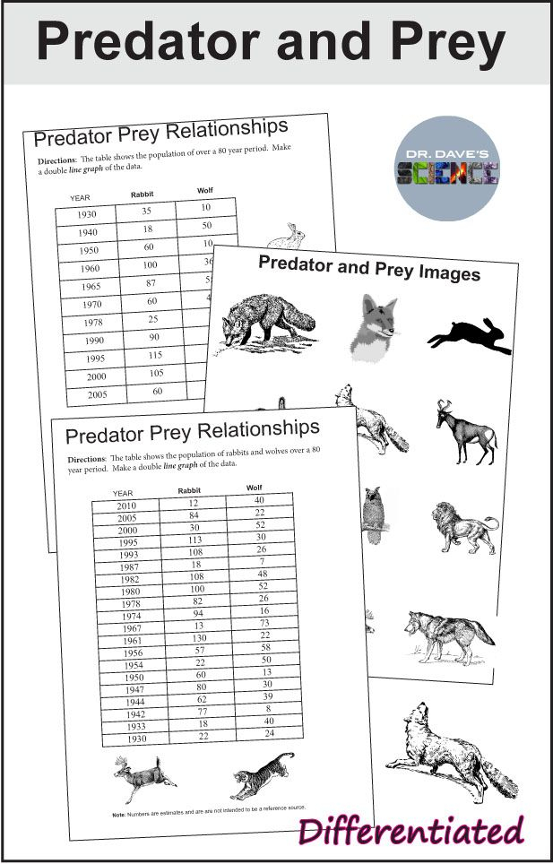 A Predator Prey Activity For An Ecology Or Environmental Science Unit 