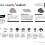 Adopt A Rock Camp Cooper Online Environmental Learning Activites For K