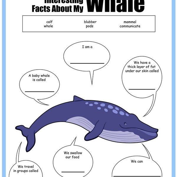 All About Whales Printables Share Remember Celebrating Child Home