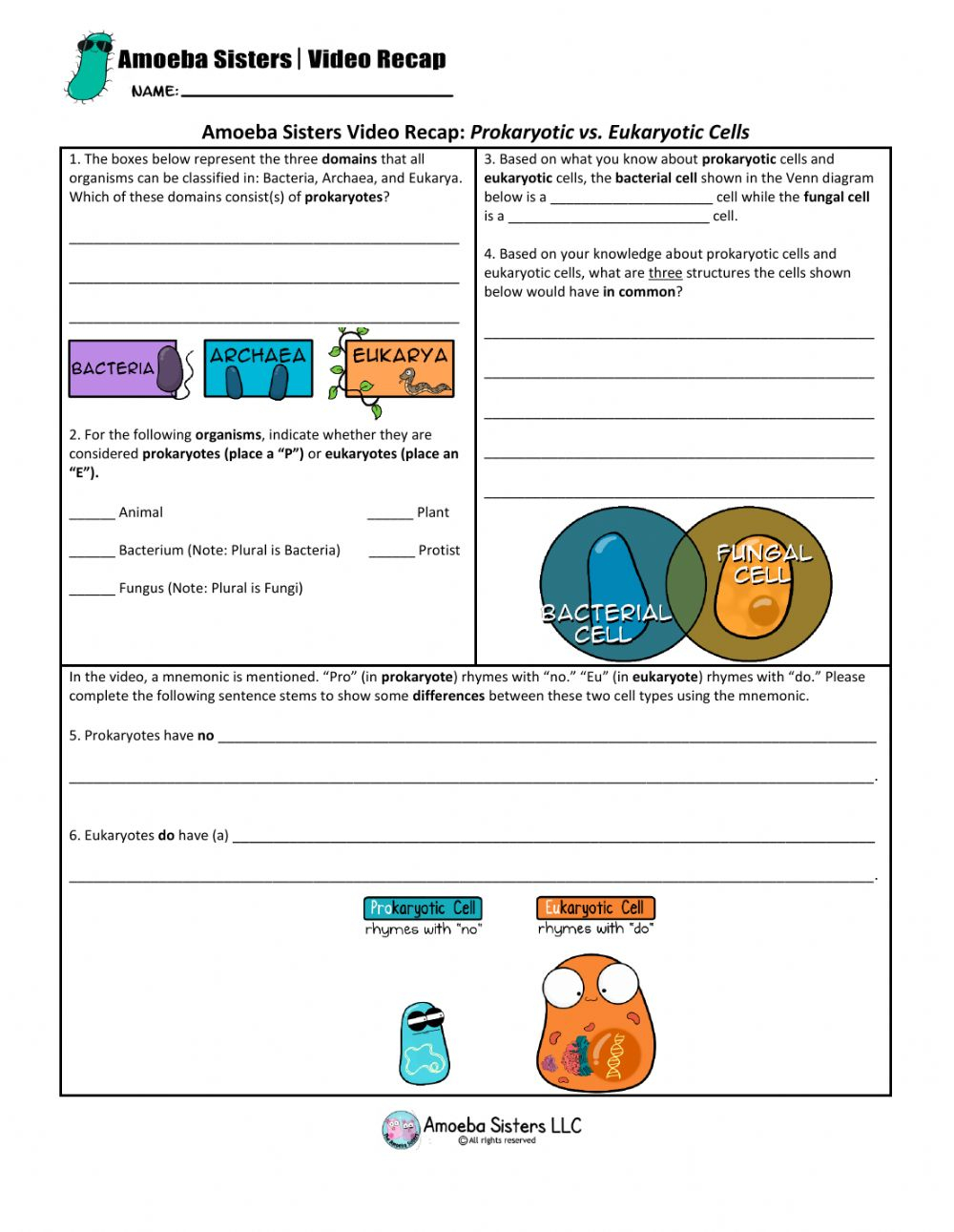 Cell Cycle Amoeba Sisters Worksheet 