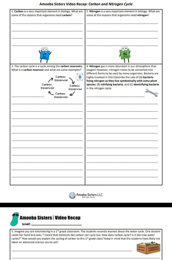 Amoeba Sisters Video Recap Carbon And Nitrogen Cyclepleeeez Help I