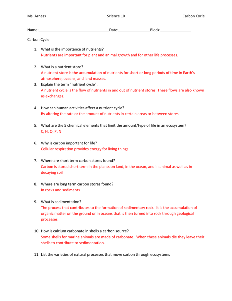 Analyzing Graphics The Carbon Cycle Worksheet Answer Key FerisGraphics