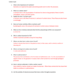 Analyzing Graphics The Carbon Cycle Worksheet Answer Key FerisGraphics