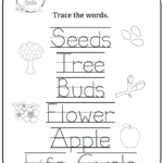 Apple Life Cycle Printable Preschool Printables