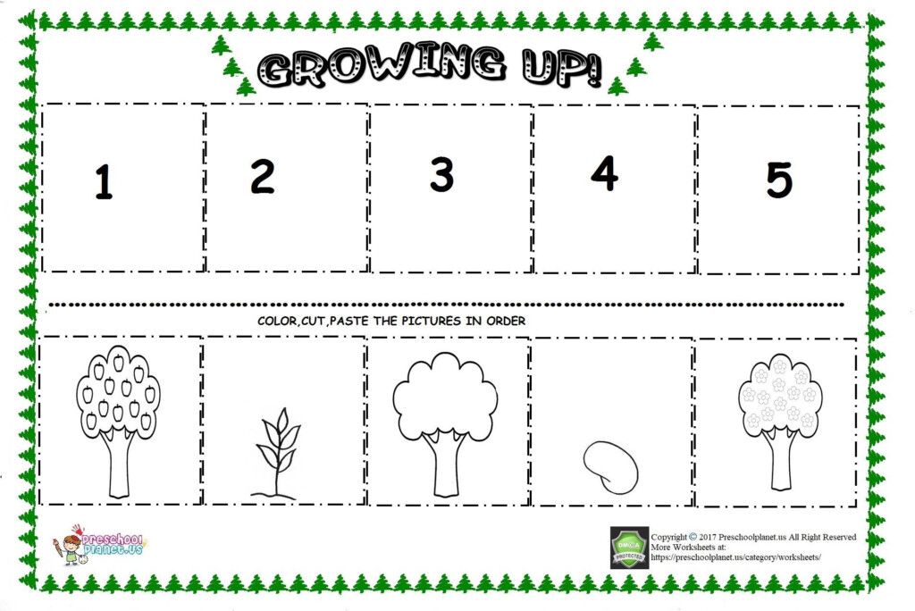 Apple Tree Life Cycle Sequencing Sheet Preschoolplanet