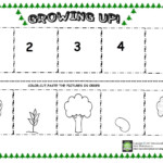 Apple Tree Life Cycle Sequencing Sheet Preschoolplanet