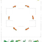 At Home STEM Activities Life Cycle Of A Frog McAuliffe Shepard