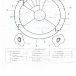 Atp Adp Cycle Worksheet 11 Db excel