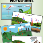 Biogeochemical Cycles Worksheet Answer Key Worksheet