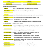 Biogeochemical Cycles Worksheet Doc Worksheet