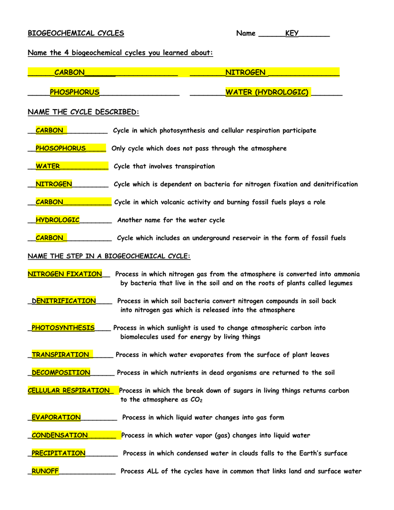 Biogeochemical Cycles Worksheet Doc Worksheet