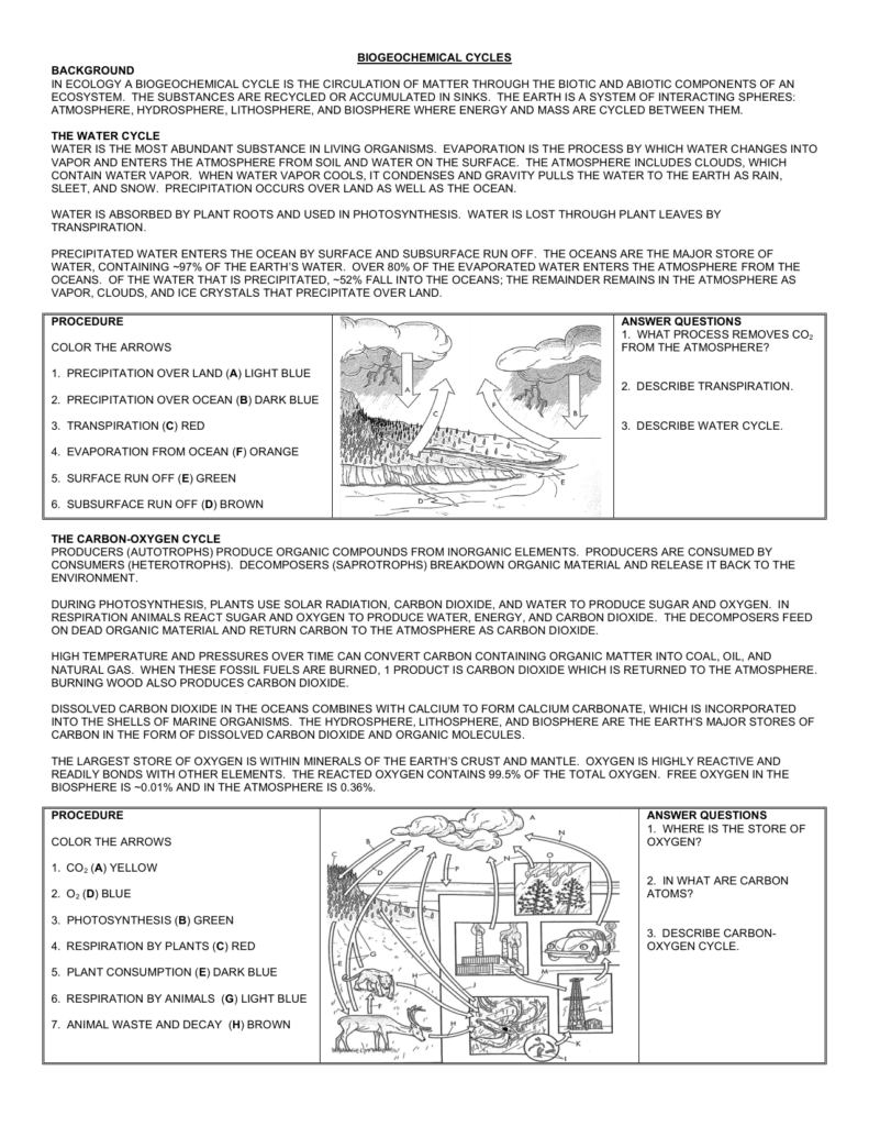 Biogeochemical Cycles Worksheet Doc Worksheet