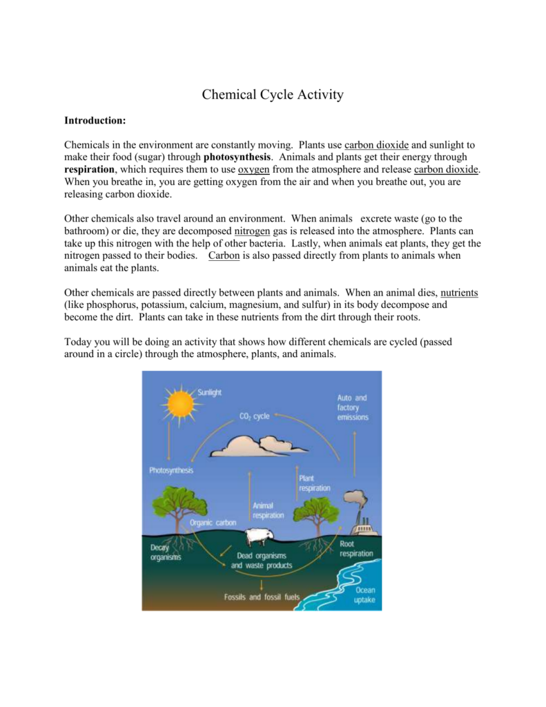 Biogeochemical Cycles Worksheet Doc Worksheet