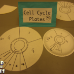 Bond With James Engaging Students In Mitosis And Meiosis