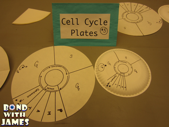 Bond With James Engaging Students In Mitosis And Meiosis