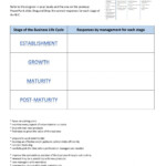 Business Life Cycle Strategies For Each Stage Interactive Worksheet