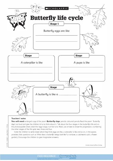 Butterfly Life Cycle FREE Primary KS1 Teaching Resource Scholastic