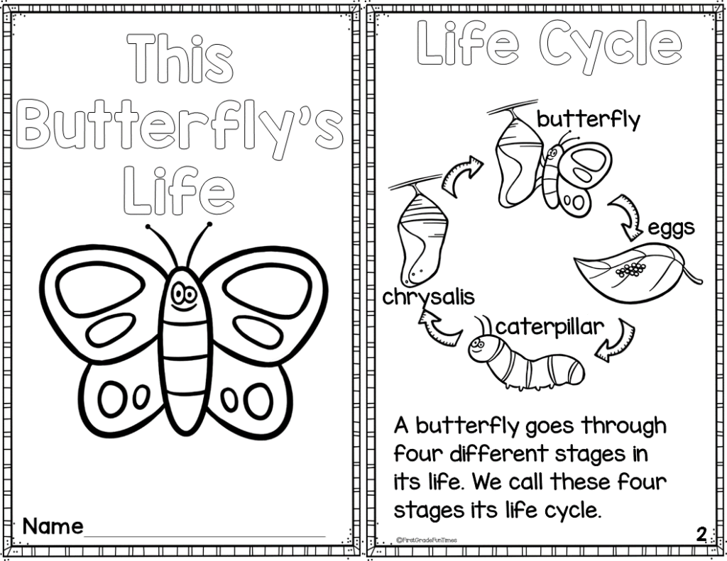 Butterfly Life Cycle Printable Reader With Comprehension Butterfly 