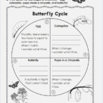 Butterfly Life Cycle Worksheet 2nd Grade Webmart me Plant Life