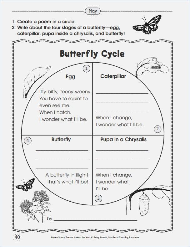 Butterfly Life Cycle Worksheet 2nd Grade Webmart me Plant Life